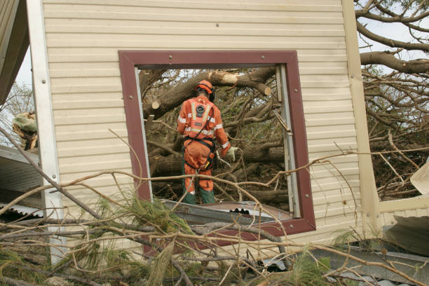 Best Firewood Processing and Delivery  in Gainesville, VA