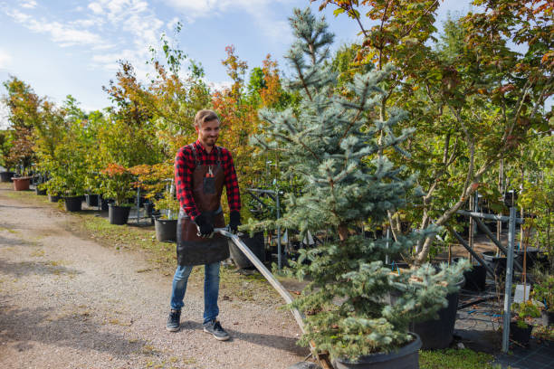 Best Commercial Tree Services  in Gainesville, VA